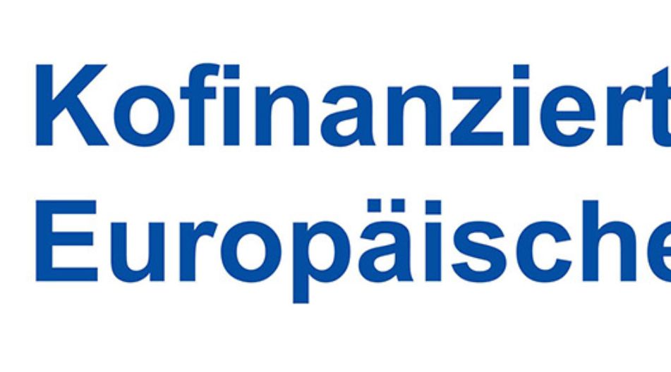 Das EU-Logo mit dem Schriftzug Kofinanziert von der Europäischen Union Das EU-Logo mit dem Schriftzug Kofinanziert von der Europäischen Union