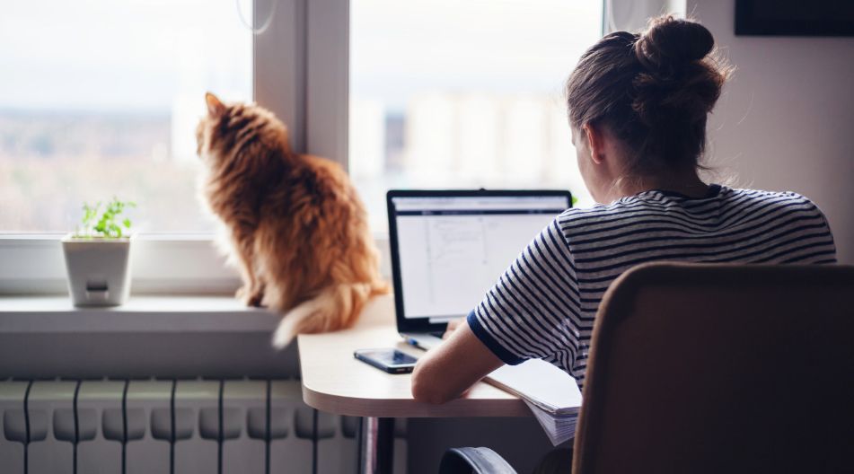Eine Frau arbeitet zu Hause an ihrem Schreibtisch mit einem Laptop. Im Hintergrund sitzt eine Katze auf dem Fensterbrett. Eine Frau arbeitet zu Hause an ihrem Schreibtisch mit einem Laptop. Im Hintergrund sitzt eine Katze auf dem Fensterbrett.